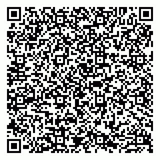 vCard 79807223531