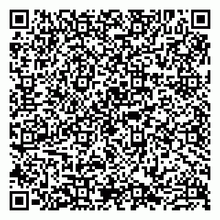 vCard 79807223532