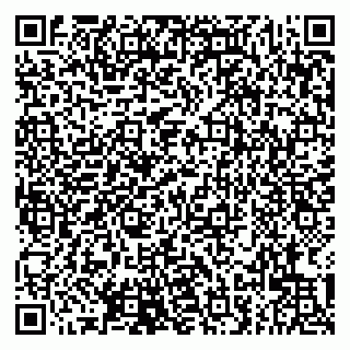 vCard 79807223711