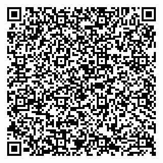 vCard 79807223732