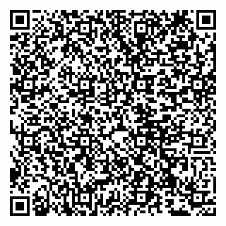 vCard 79807225295