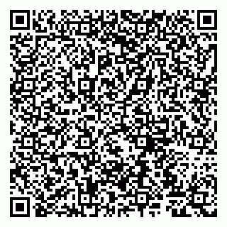 vCard 79807225378