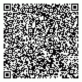 vCard 79807225387