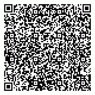 vCard 79807225536