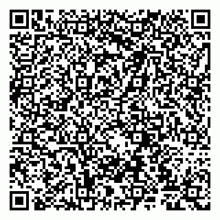 vCard 79807225931