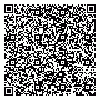 vCard 79807227379