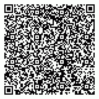 vCard 79807228193