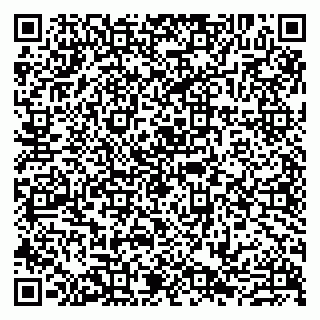vCard 79807229188