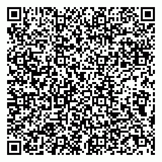 vCard 79807229233