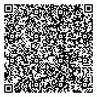 vCard 79807229267