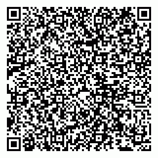 vCard 79807229278