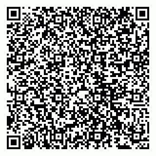 vCard 79807229312