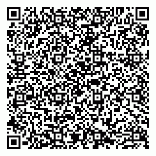 vCard 79807229313