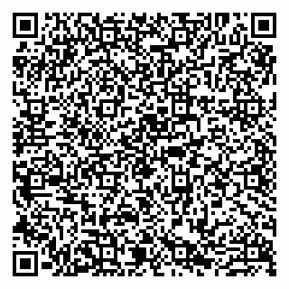 vCard 79807229331