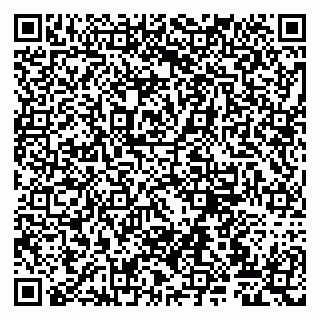 vCard 79807229333