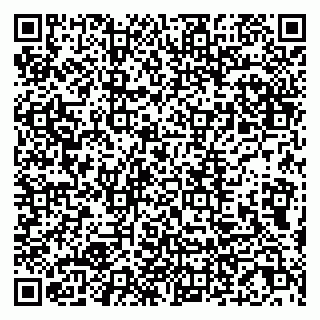 vCard 79807229335