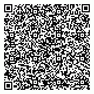 vCard 79807229337
