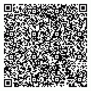 vCard 79807229353