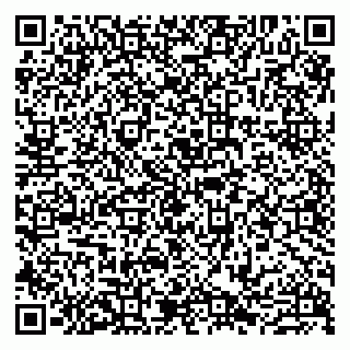 vCard 79807229375