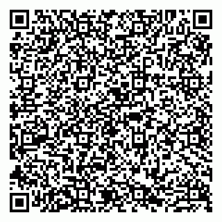 vCard 79807229379
