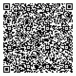 vCard 79807229428