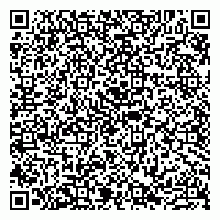 vCard 79807230208