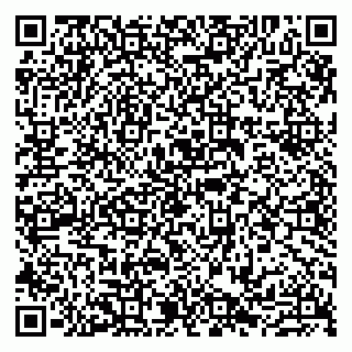vCard 79807230306