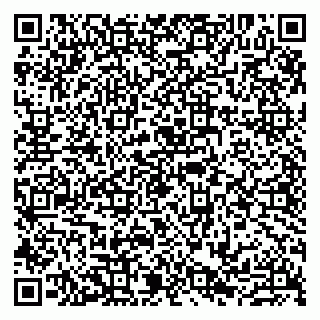 vCard 79807230381