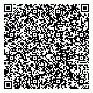 vCard 79807230387