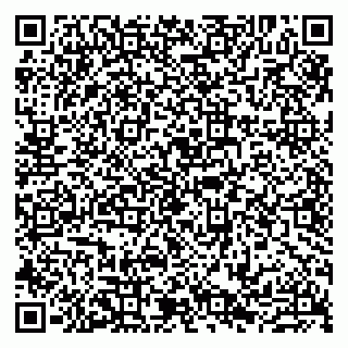 vCard 79807230411