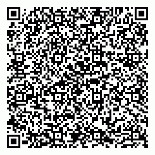 vCard 79807230737