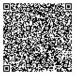vCard 79807231009
