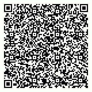 vCard 79807231017
