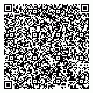 vCard 79807231040
