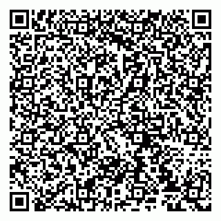 vCard 79807231073