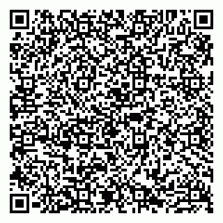 vCard 79807231078