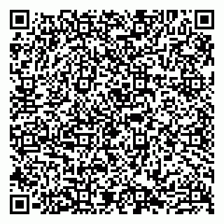 vCard 79807231085