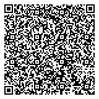 vCard 79807231131