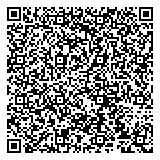vCard 79807231171