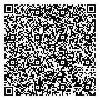 vCard 79807231172
