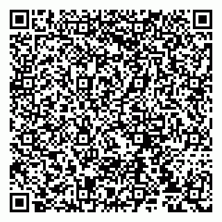 vCard 79807231198