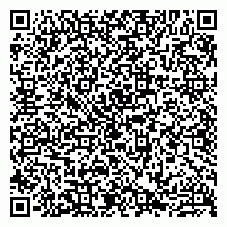 vCard 79807231211