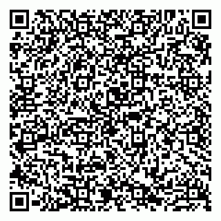 vCard 79807231219