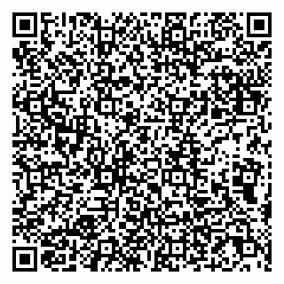 vCard 79807231227