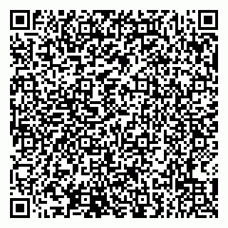 vCard 79807231270