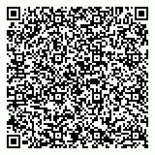 vCard 79807231285