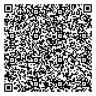 vCard 79807231290