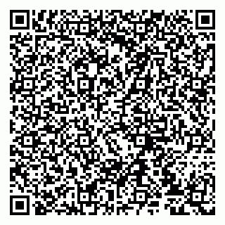 vCard 79807231293