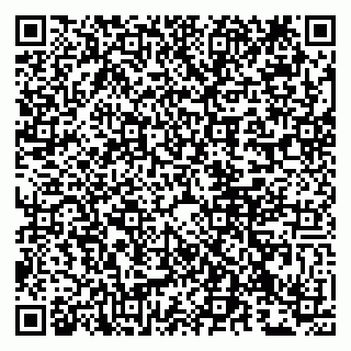 vCard 79807231296