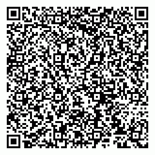 vCard 79807231301